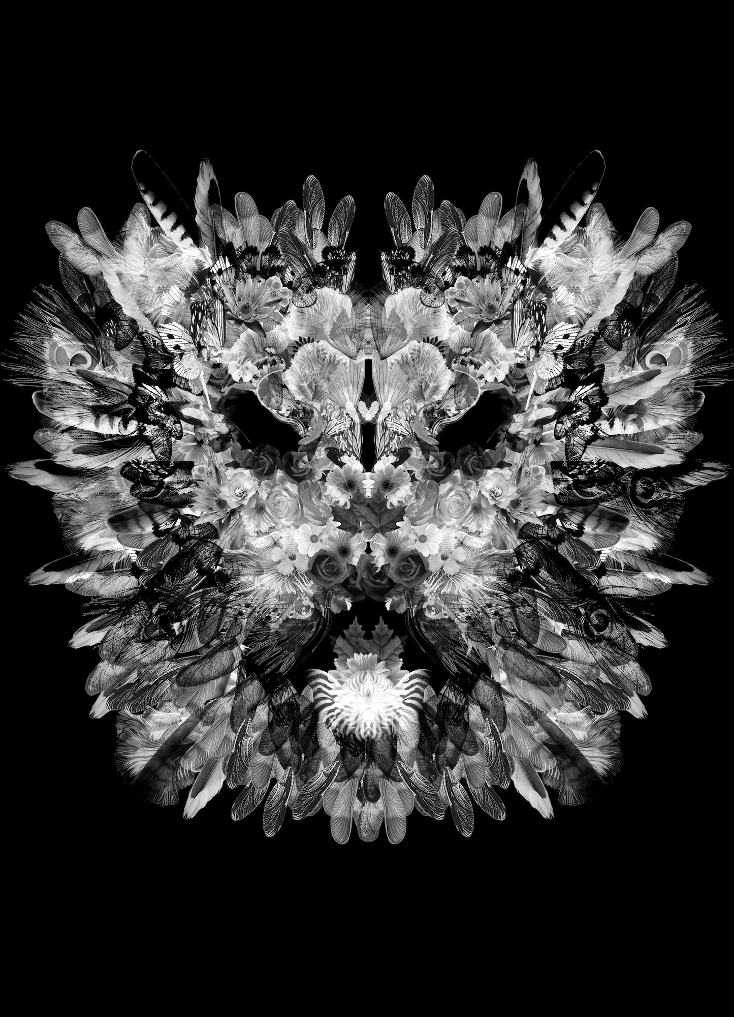 The Lion 3 - ERINA MUKAIJO