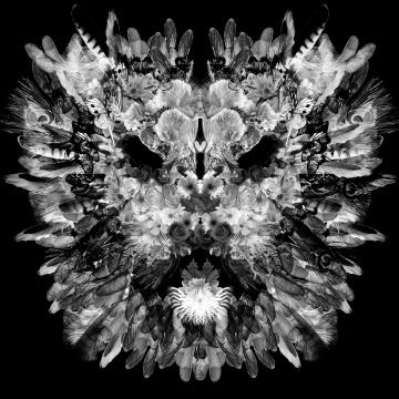 The Lion 3 - ERINA MUKAIJO