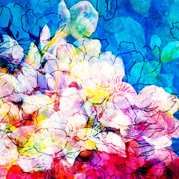 桜花爛漫 - 榊原伸予